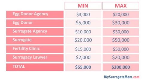 surrogatmamma usa kostnad|Costs of surrogacy in the USA